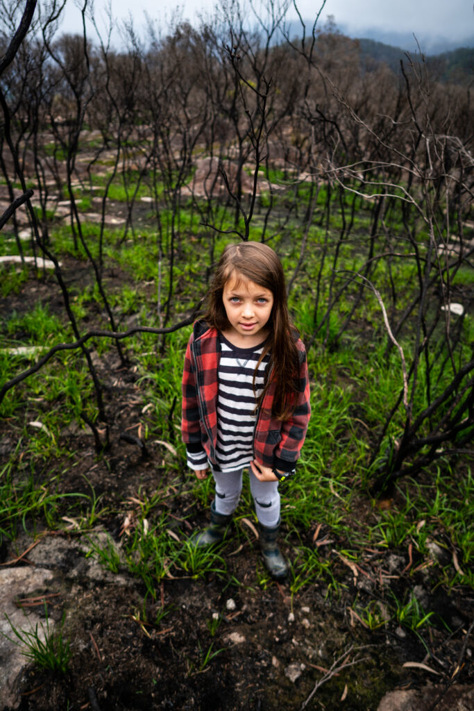 young girl in fire ravaged landscape that is regenerating, looking at camera