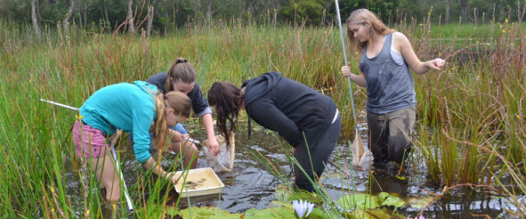 Students test water quality