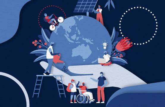 Sustainability guidelines and frameworks for different school sectors.