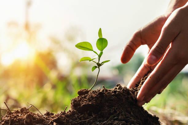 Connect with a network of sustainability education professionals