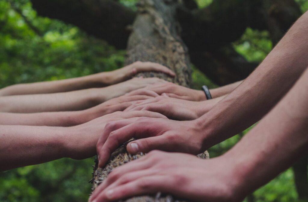 connect with fellow educators -Supporting environmental educators NSW