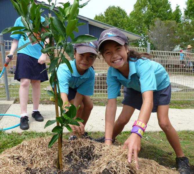 Regional Sustainability Education Networks