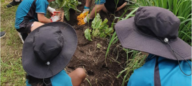 school kids gardening