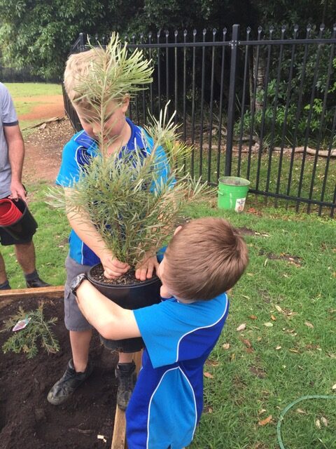 two children carrying bushy plants in pots