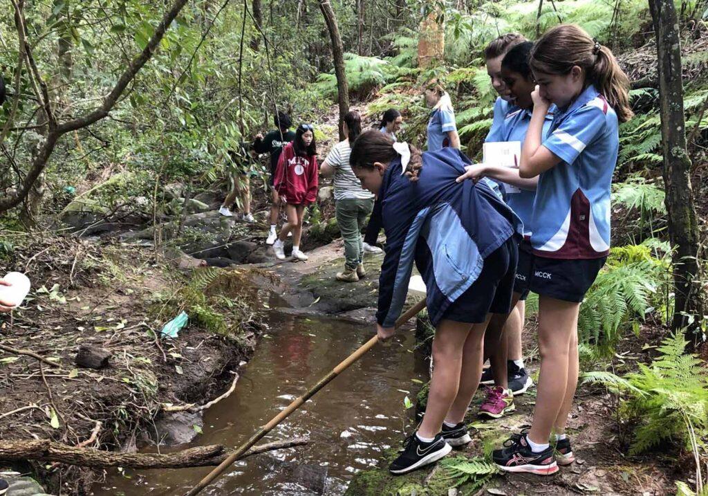 Sustainable Schools Activities - association for environmental educators in NSW