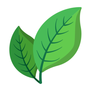 sustainable schools resources