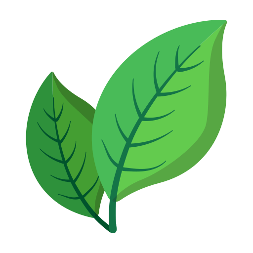 sustainable schools resources