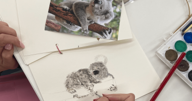 art drawing koala HM