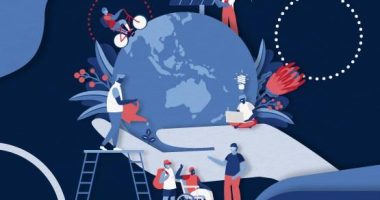 Sustainability guidelines and frameworks for different school sectors.