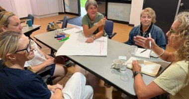 Illawarra Region educators brainstoriming illawarra group