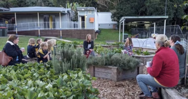 teachers in school garden service providers teachers in school garden service providers