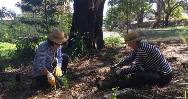 gardening two adults