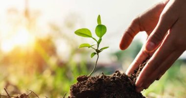 Connect with a network of sustainability education professionals