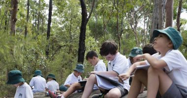 School students in a bush setting