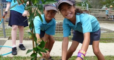 Regional Sustainability Education Networks