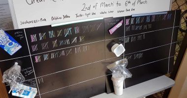 Monitoring sustainability